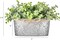 Artificial Eucalyptus Faux Plants Indoor for Farmhouse Home Decor Fake Potted Plants in Rustic Rectangular Pots Table Centerpiece for Office Bath Living Room Greenery Decor, 7" L x 4" H